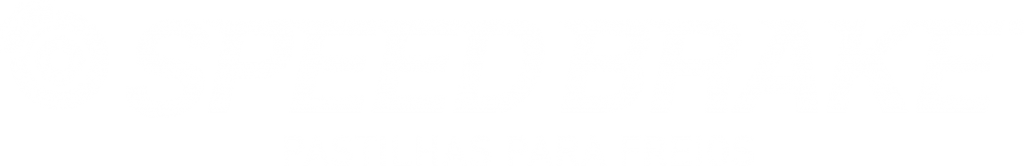 Logo Speedbreak