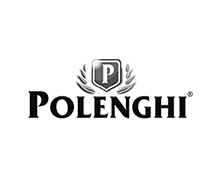 Logo polenghi